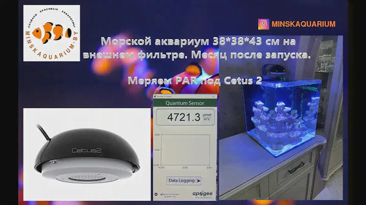 Морской аквариум на внешнем фильтре. Проверяем Cetus 2. Сколько PAR?