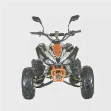 Квадроцикл MOTAX ATV T-Rex-LUX 50 сс