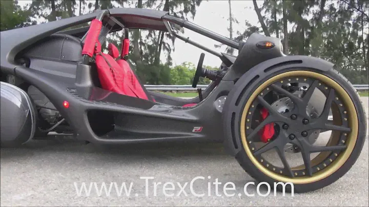 2017 T rex Argo Grey TrexCite Build