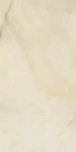 Керамогранит Rex Ceramiche Les Bijoux de Rex Onyx Blanche Glo 6mm R 60x120 765780-0