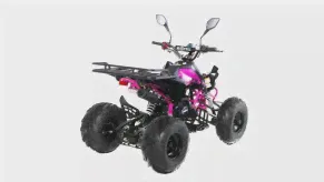 Квадроцикл MOTAX ATV T-Rex Super LUX 50 сс-4