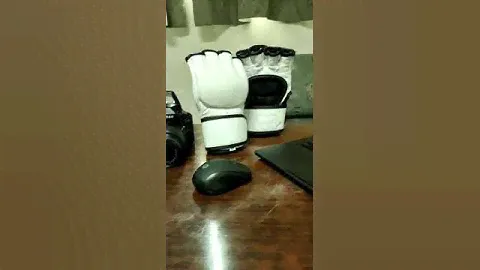 White MMA Gloves With Custom Logo | REX Sports |