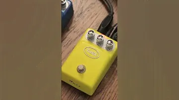 PEDAL T-REX TONEBUG FUZZ