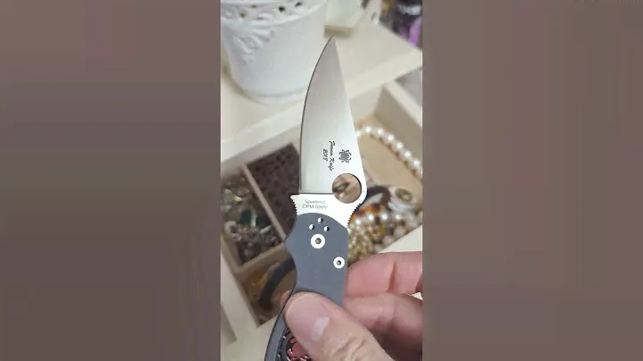 Форумный нож Spyderco Paramilitary 2