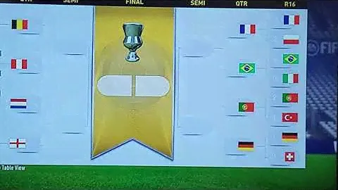 I did a simulation of the world cup!