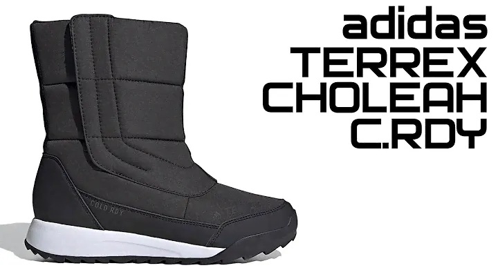 adidas TERREX CHOLEAH BOOT C.RDY | ВОТ ЭТО ДУТИКИ! | EH3537