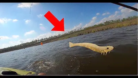 Using D.O.A. Shrimp for EPIC Trout Bite