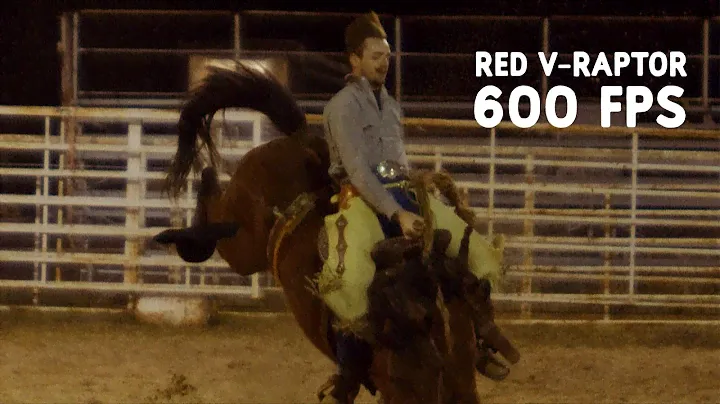 Buckin' Bronco | RED V-Raptor 600 fps Test