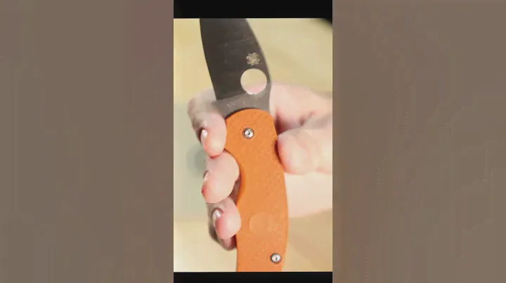 Spyderco Sage 5 Lightweight CPM REX 121
