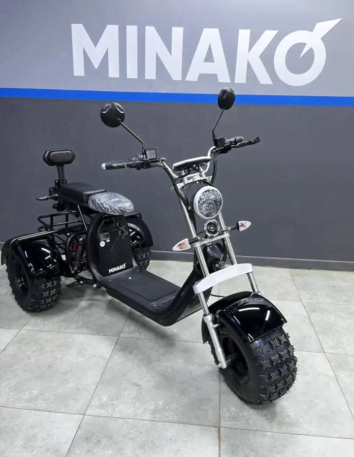 Электроскутер Minako Rex Trike,3000 Вт,Черный-0