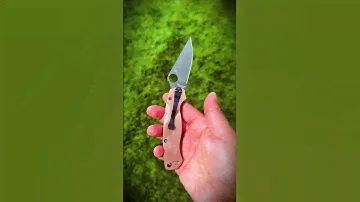 Para Military® 2 Copper CPM REX 45 Black Blade Exclusive   #Spyderco #SpydercoKnives