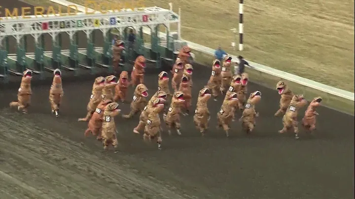VIDEO: Dinosaurs take the track in viral T-Rex races