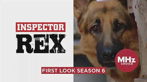 First Look: Inspector Rex (Season 6)
