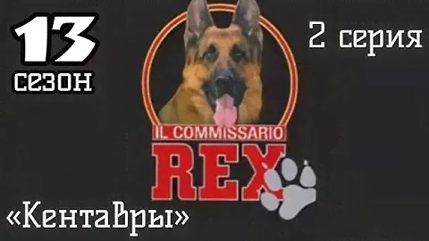 Комиссар Рекс, 13 сезон, 2 серия «Кентавры»