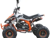 Квадроцикл Motax ATV T-Rex LUX 125 в Новосибирске