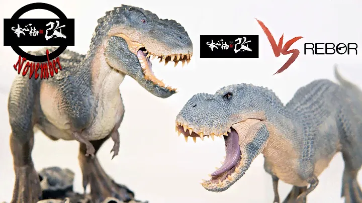 HEAD2HEAD - Nanmu V. rex, "Shadow Monarch" Vs. REBOR V. rex "Vanilla Ice" - Nanmu November