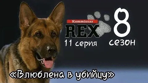 Комиссар Рекс, 8 сезон, 6 серия «До последней пули» (2002)