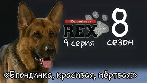 Комиссар Рекс, 8 сезон, 9 серия «Блондинка, красивая, мёртвая»