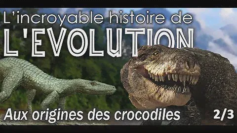 Aux origines des crocodiliens - 2/3 -  Paléontologie - Simplex Paléo