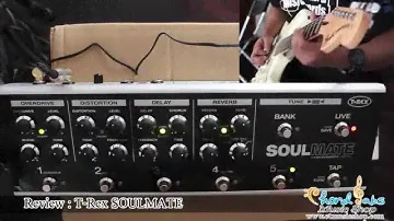 Review T-Rex SOULMATE By www.ctmusicshop.com