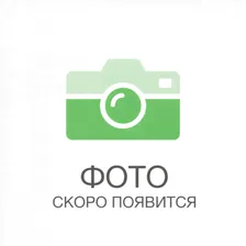 Катушка REX 3000 7+1 подшип (N-R3000) Nisus