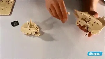 Конструктор Robotime 3Д пазл Динозавр Mini Triceratops (D430)