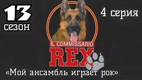 Комиссар Рекс, 13 сезон, 4 серия «Мой ансамбль играет рок»