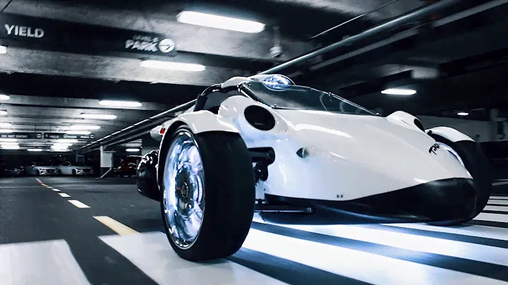 Campagna T-rex (Showtime 203)