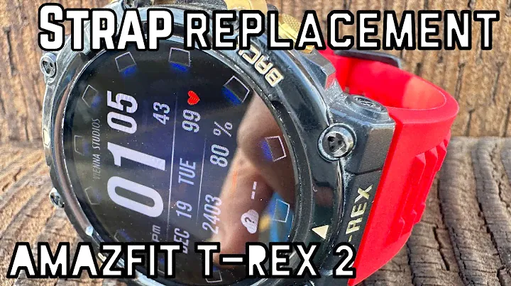 AMAZFIT T-REX 2 STRAP REPLACEMENT
