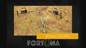 Whites TM 808 - тест на каску, клад и монету