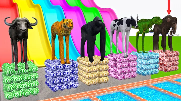 Long Slide Game With Mammoth Elephant Tiger Gorilla Lion T-Rex Buffalo - 3d Animal Game