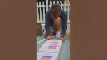 Destination Domino