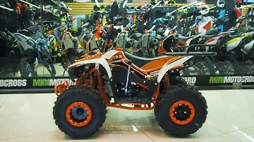 Купить Квадроцикл бензиновый MOTAX ATV T-Rex Super LUX 50 (125) сс