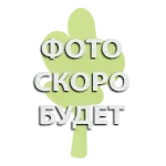 Батончик с высоким содержанием протеина "Шоколадный" ProteinRex 100 г-0