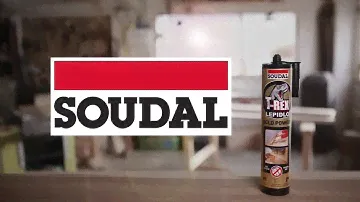 SOUDAL T-REX GOLD POWER