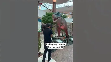 Dinosaur Almost Bit My Camera!