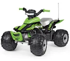 Квадроциклы и миникроссы Peg-perego Corral T-Rex 330W