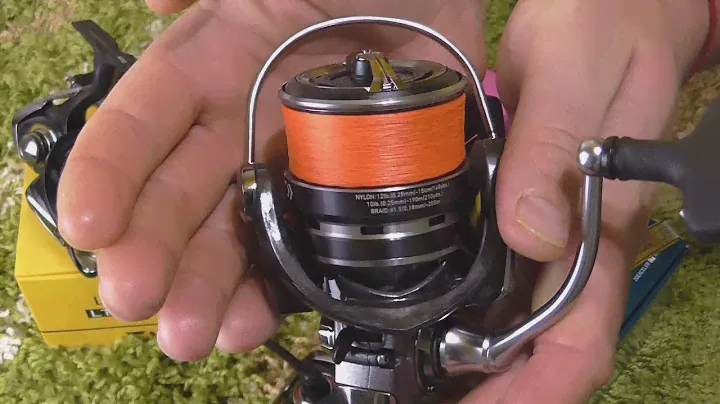 Какая DAIWA LT 2020 лучше: Legalis, Exceler, Fuego?