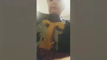 new T-rex shirt