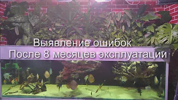 8 месяцев с момента запуска фитофильтра.