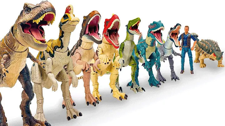 HUGE JW Hammond & Amber Collection Haul: Biggest to Smallest | T-Rex, Velociraptor & More!