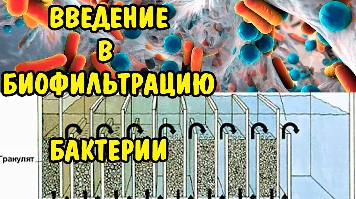 БИОФИЛЬТРАЦИЯ . ЧТО ТАКОЕ ? БАКТЕРИИ . BIOFILTRATION . WHAT IS IT? BACTERIA .
