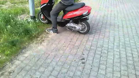 Rex RS 500
