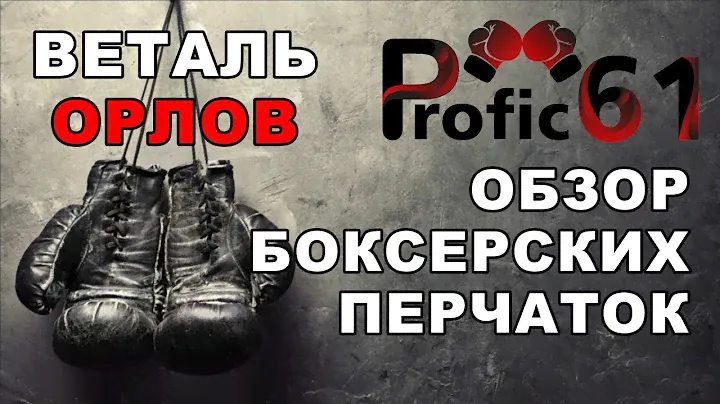Обзор боксерских перчаток GREEN HILL, TITLE, CLINCH, WELL
