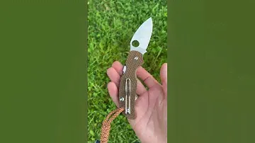 Складной нож Spyderco Sage 5 (replica)