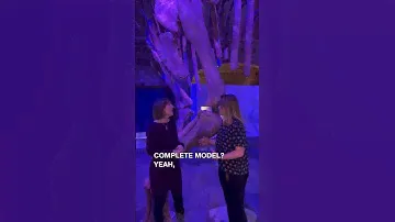 How To Build A Dinosaur