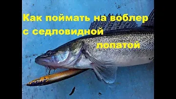 Как поймать на воблер с седловидной лопатой