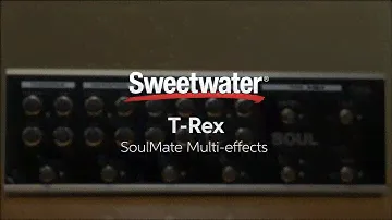 T-Rex SoulMate Multi-effects Pedal Review by Sweetwater
