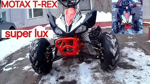 Квадроцикл Мотах t rex краткий обзор