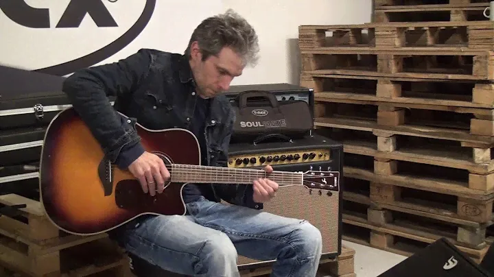 T-Rex SoulMate Acoustic looping